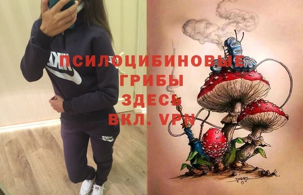 PSILOCYBIN Богданович